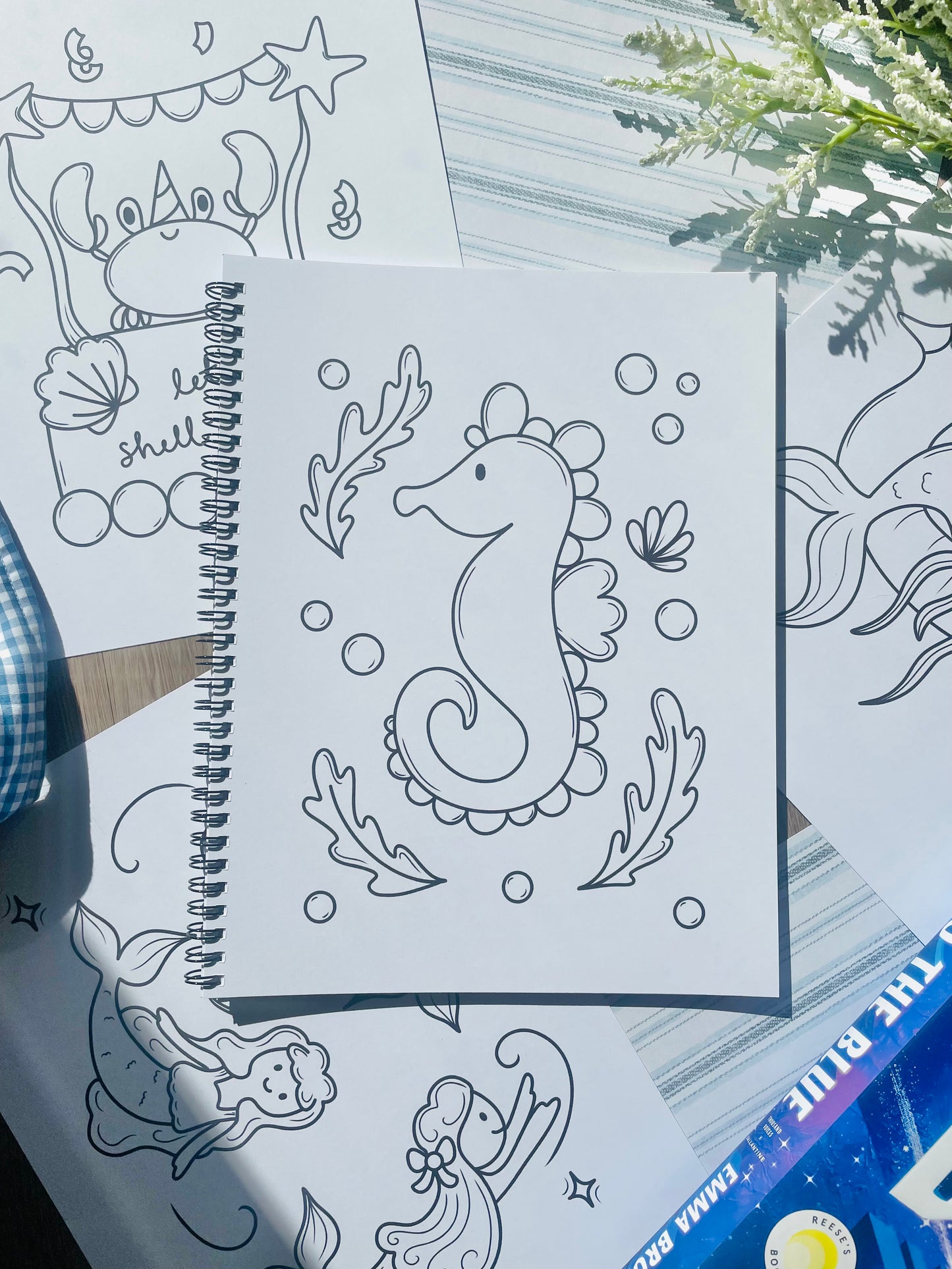 Seaside and Sunshine Coloring Book