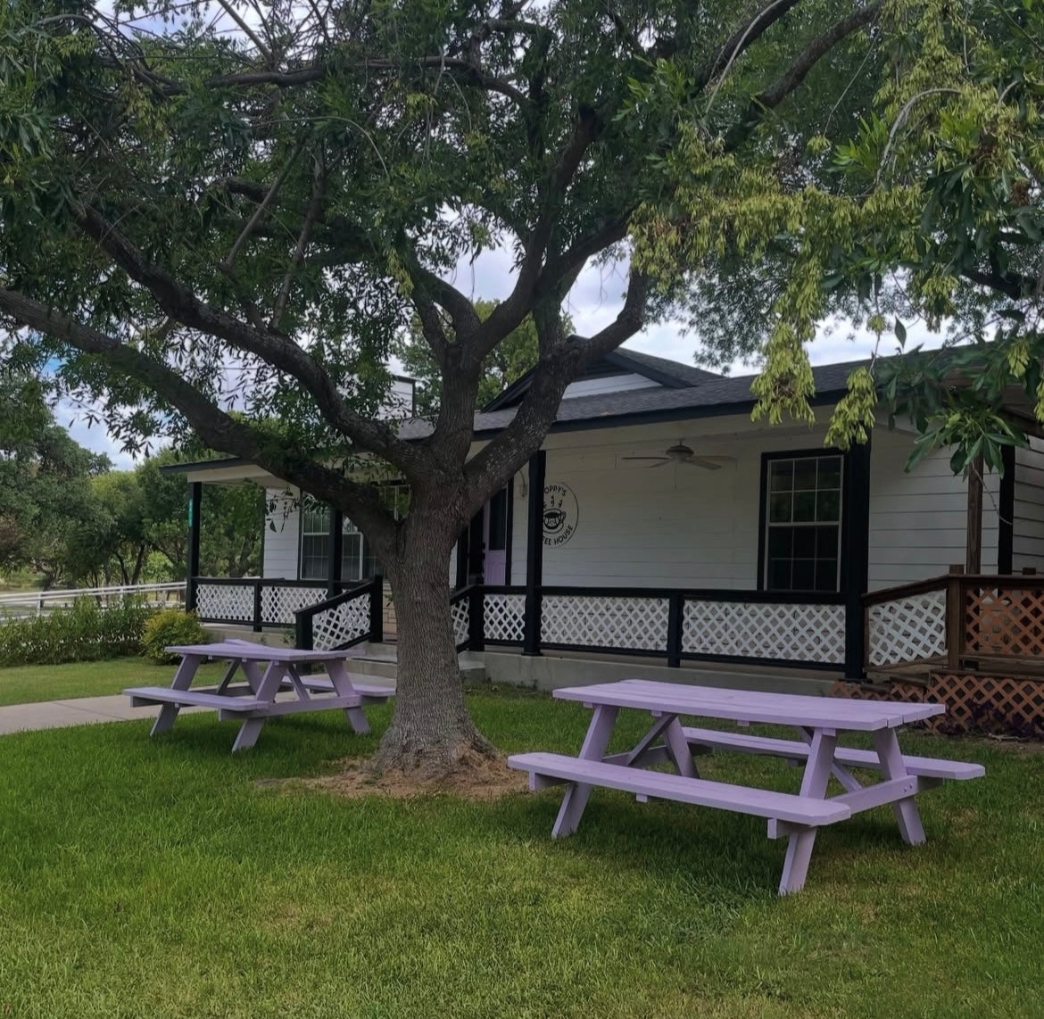 Galentines Paint Party