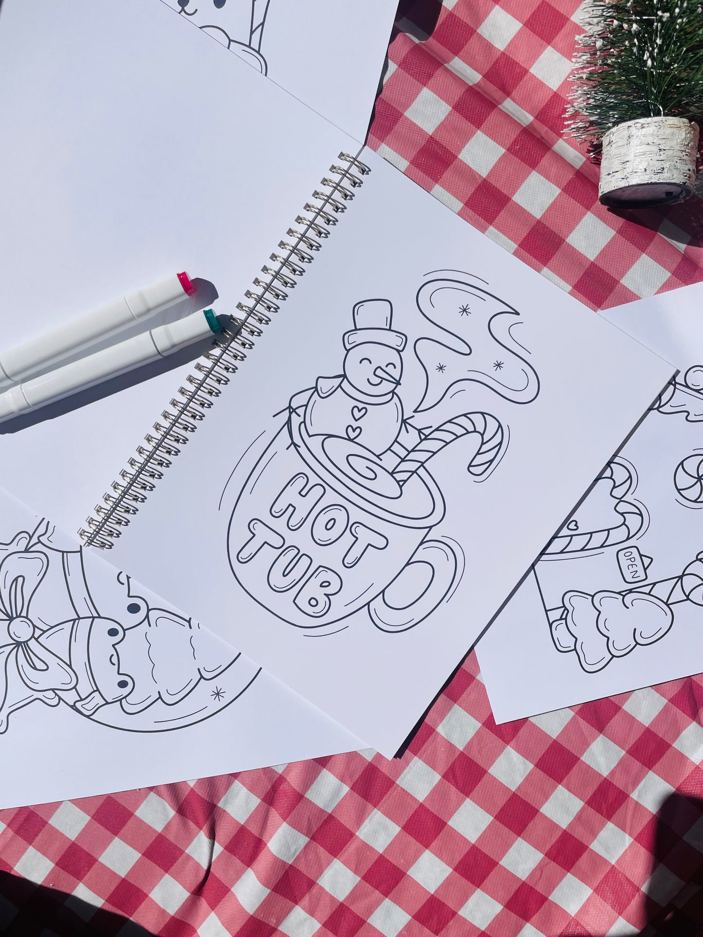 Winter and Wonder Coloring Book